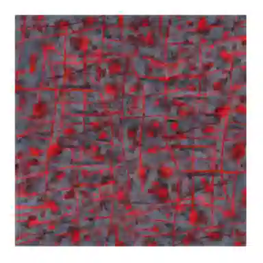 浙锦 意大利设计式方巾防晒 丝巾 女款