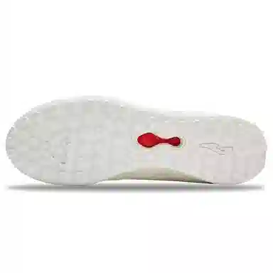JOMA aguila
