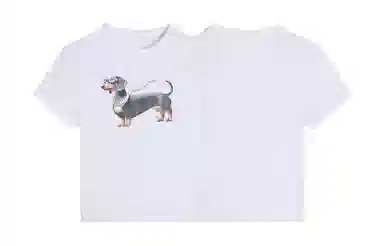 MANYSTON T