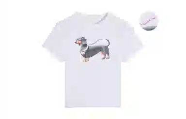 MANYSTON T