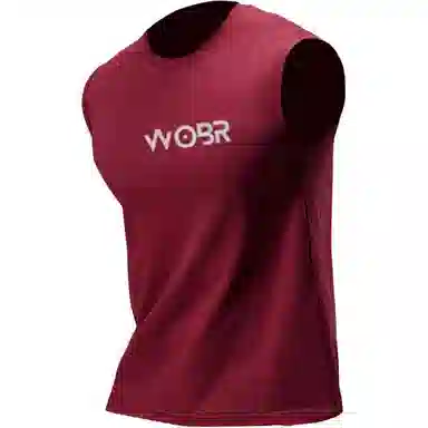 WOBR Logo