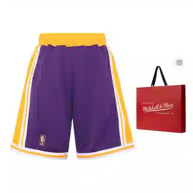 Mitchell & Ness Lakers 96-97 Purple