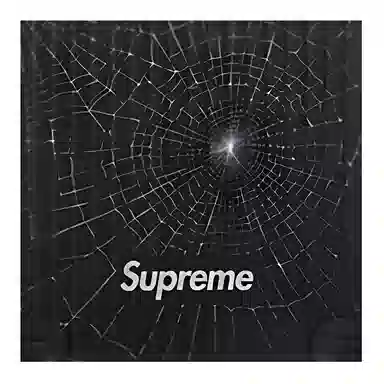 Supreme x Rimowa Box FW19 Week 12 Logo 30
