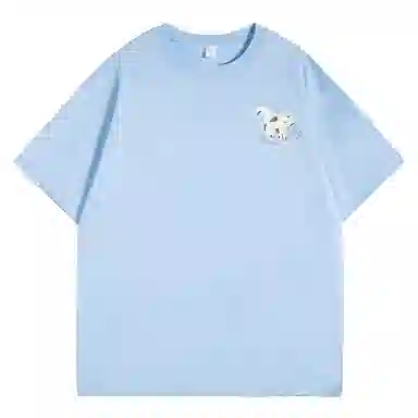 FOASIS T
