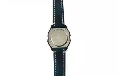 CASIO F-91WS-2
