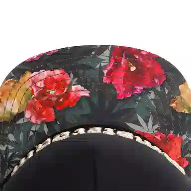 艾佳微 街头嘻哈户外游玩登山 棉 棒球帽 男女同款情侣款