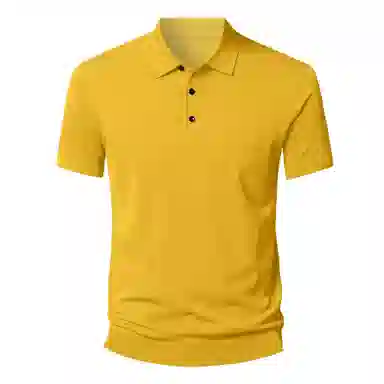 PIERRE CARDIN Polo