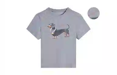 MANYSTON T