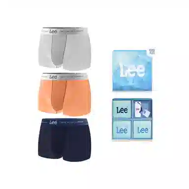 Lee SS25 INDIGO 10A 3