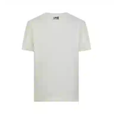 Cavalli Class T