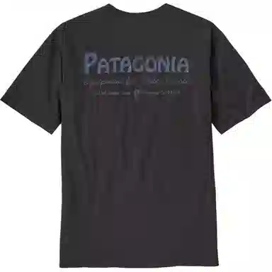 patagonia T