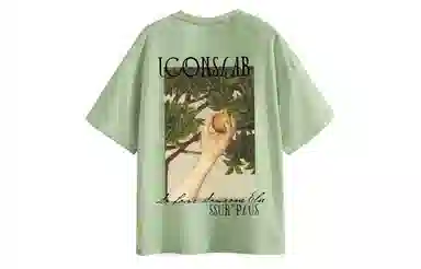 ICONS Lab T