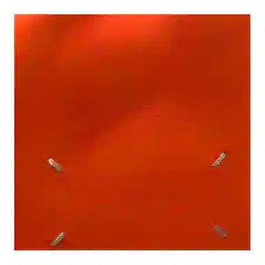 Maison Margiela Crossbody Bag Orange