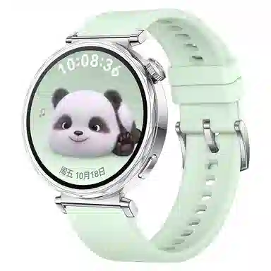 watchbond 204mm GT5watchgt5proGT418mm