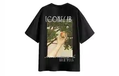 ICONS Lab T