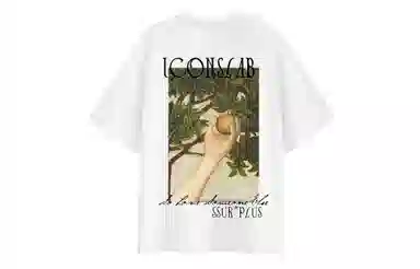 ICONS Lab T