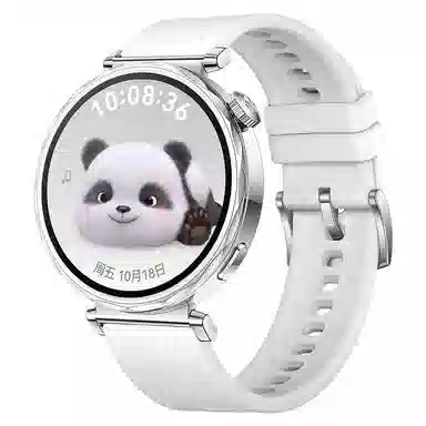 watchbond 204mm GT5watchgt5proGT418mm