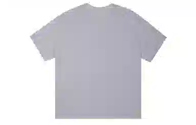 ICONS Lab ICS T