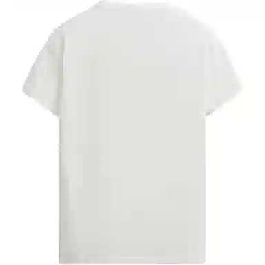ZARA T