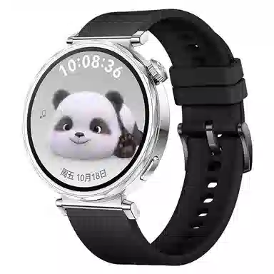 watchbond 204mm GT5watchgt5proGT418mm
