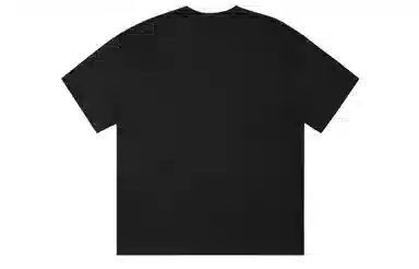 ICONS Lab ICS T