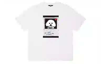 ICONS Lab ICS T