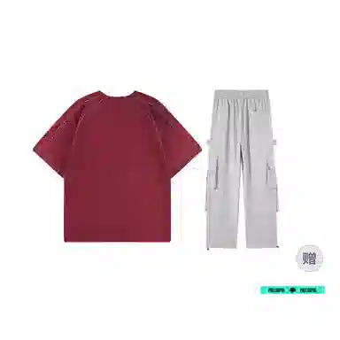 pallsupol