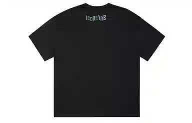 ICONS Lab ICS T