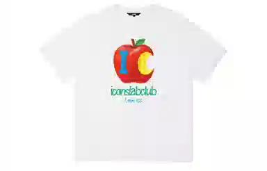 ICONS Lab ICS T