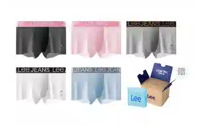 Lee 101 10A 5