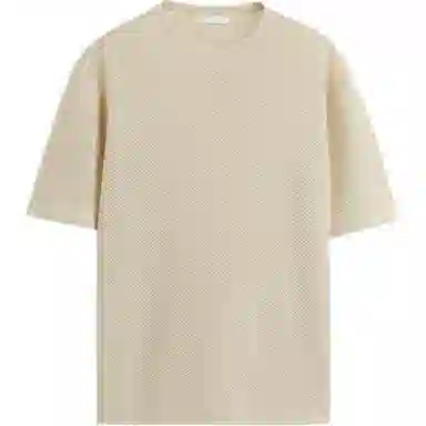 ZARA T