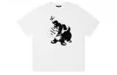 ICONS Lab ICS T
