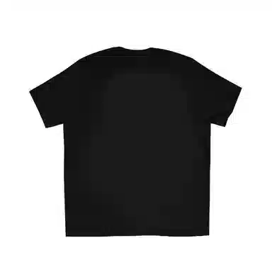 THE NORTH FACE T