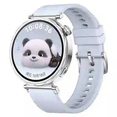 watchbond 204mm GT5watchgt5proGT418mm