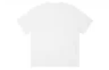 ICONS Lab ICS T