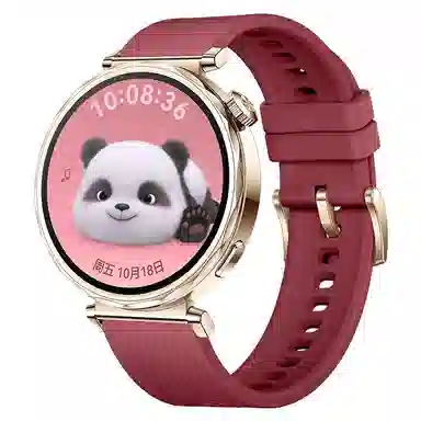 watchbond 204mm GT5watchgt5proGT418mm