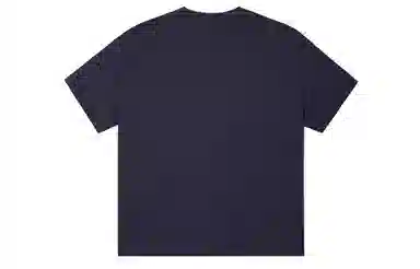 ICONS Lab ICS T