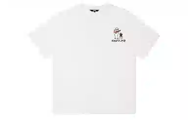 ICONS Lab ICS T