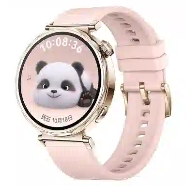 watchbond 204mm GT5watchgt5proGT418mm