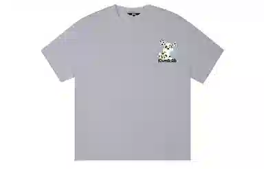 ICONS Lab ICS T