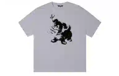 ICONS Lab ICS T