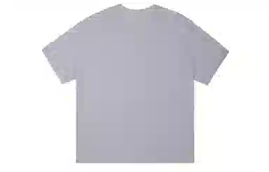 ICONS Lab ICS T