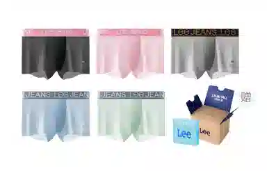 Lee 101 10A 5
