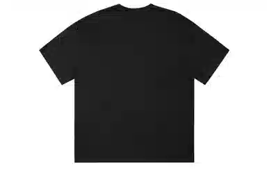 ICONS Lab ICS T