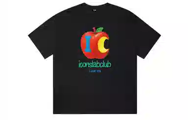 ICONS Lab ICS T