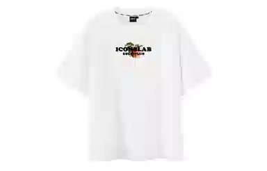 ICONS Lab T