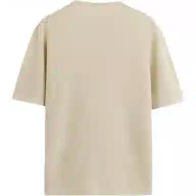 ZARA T