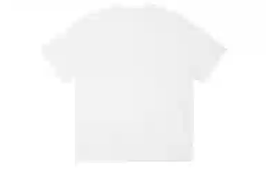 ICONS Lab ICS T