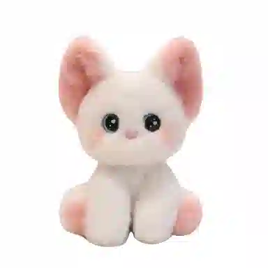 25cm