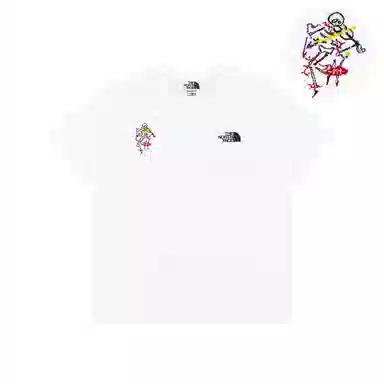THE NORTH FACE logo T